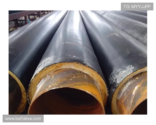 解决凯发网娱乐会员登录问题，畅玩各类娱乐项目的技巧