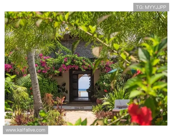 凯发app用户评价分析帮助新用户选择优质游戏体验