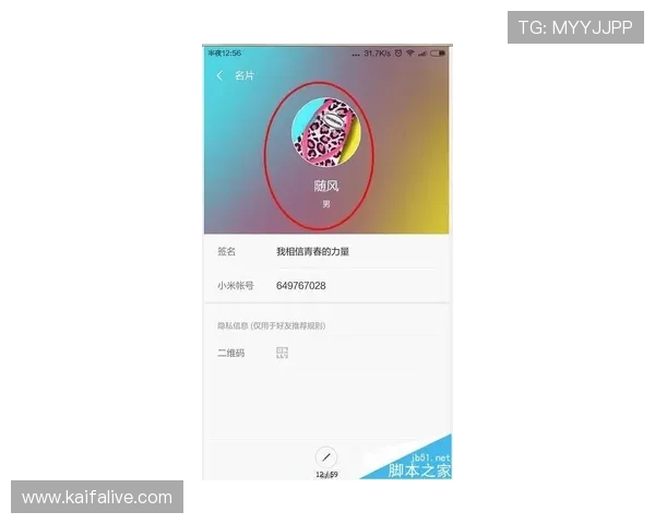 K8体育网官方下载指南，详细步骤帮助用户快速安装使用，畅享全方位体育娱乐体验
